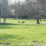 Le Bonheur Du Périgord - Hébergement de vacances